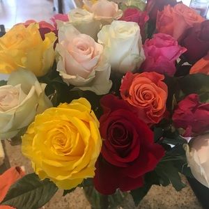 Meet your Posher, Stefani